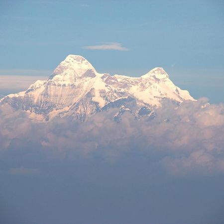 Nest And Hives Motiapathar/Mukteshwar 호텔 외부 사진
